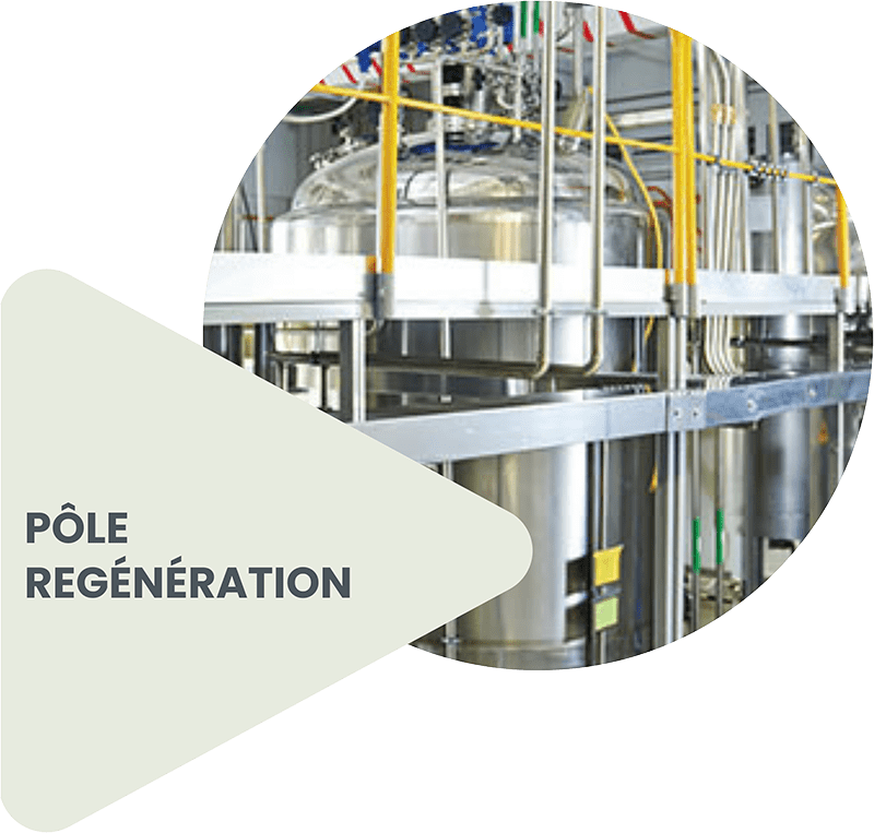 pole-regenration